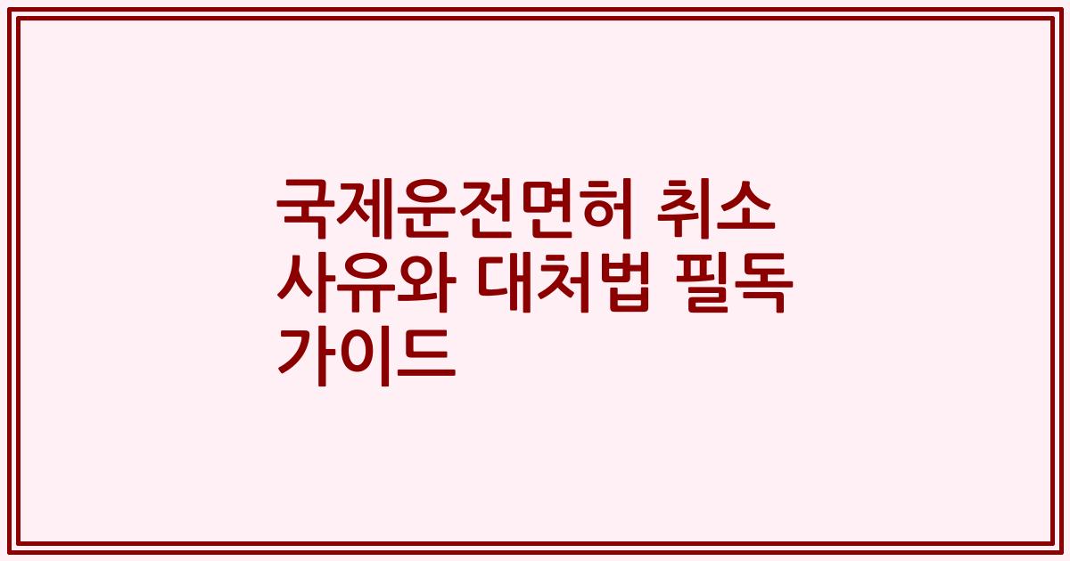 국제운전면허 취소 사유와 대처법 필독 가이드